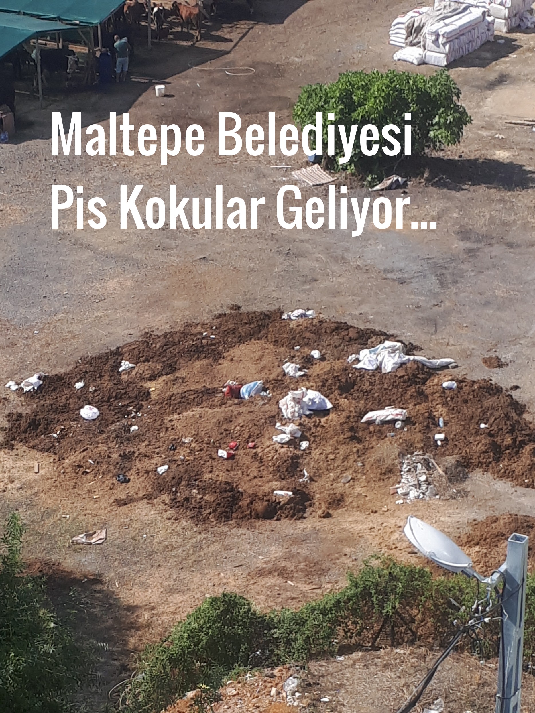 Maltepe Belediyesi,Cevizli Mahallesi Koktu!