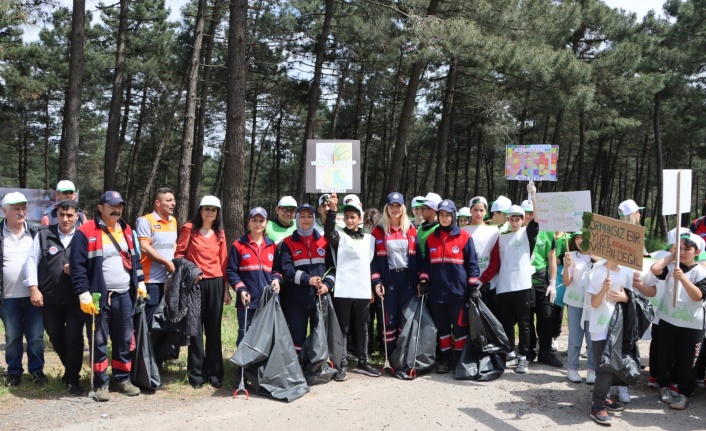 Maltepe'de orman temizliği çalışması