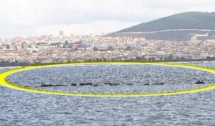 Türkiye’nin İlk Uzun Metrajlı UFO Belgeseli “TEMAS”, Yerli ve Yabancı Festivallerde Yarışıyor!