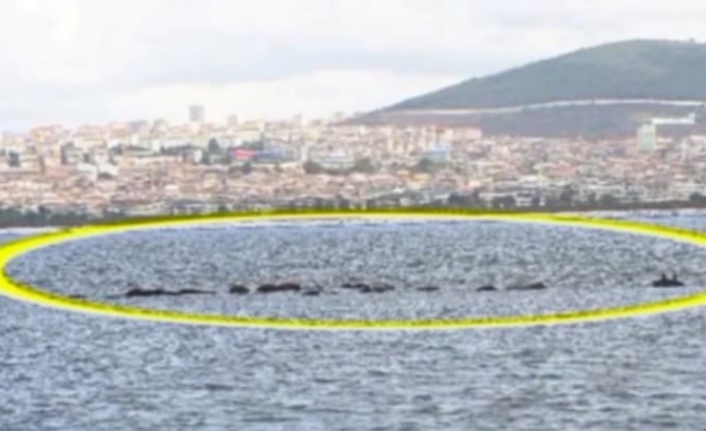 Türkiye’nin İlk Uzun Metrajlı UFO Belgeseli “TEMAS”, Yerli ve Yabancı Festivallerde Yarışıyor!