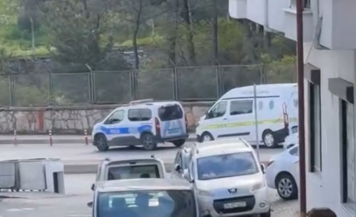 Maltepe'de Ormanlık alanda ceset bulundu.