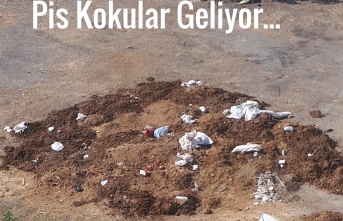 Maltepe Belediyesi,Cevizli Mahallesi Koktu!