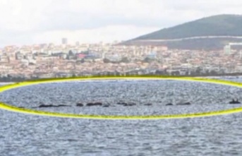 Türkiye’nin İlk Uzun Metrajlı UFO Belgeseli “TEMAS”, Yerli ve Yabancı Festivallerde Yarışıyor!